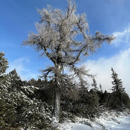 דירה Oliver #40 Štrbské Pleso